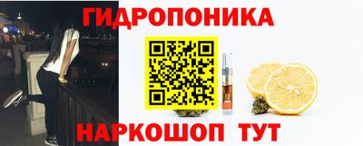 сатива Новодвинск