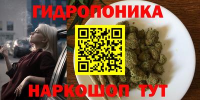 МДМА Новозыбков
