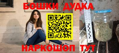 сатива Новодвинск