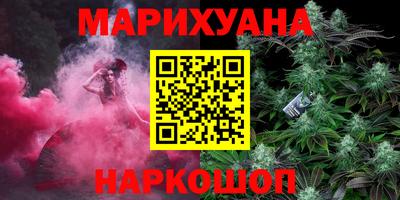 сатива Новодвинск