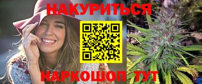 сатива Новодвинск