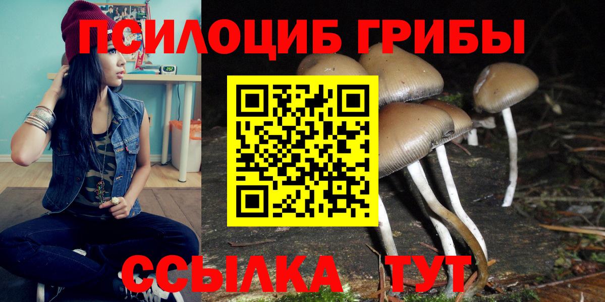 Галлюциногенные грибы Psilocybe Ярославль